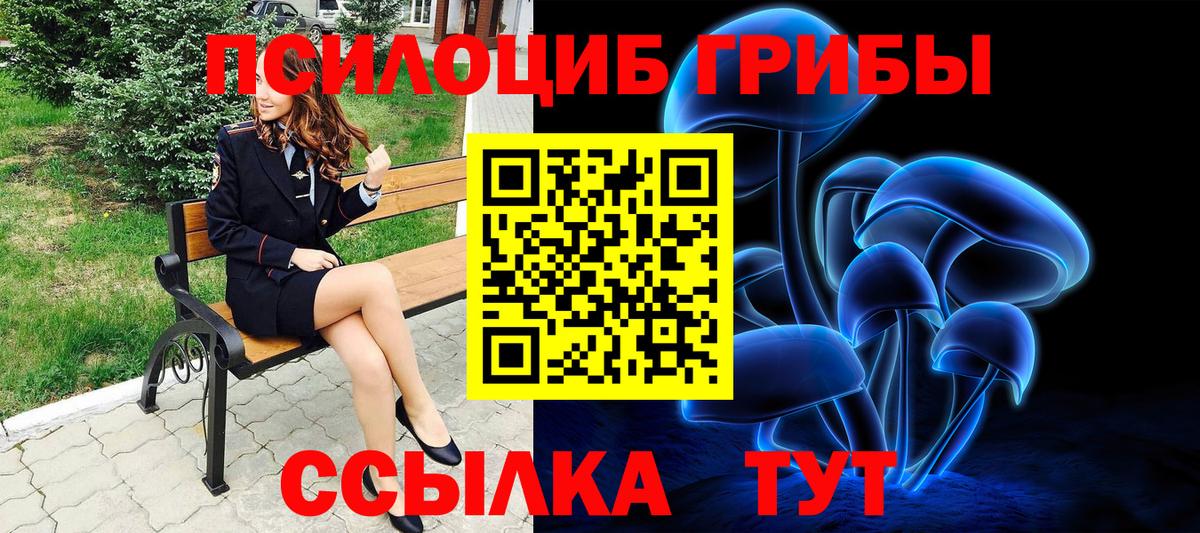 Псилоцибиновые грибы мицелий  Вход с VPN  Новозыбков 