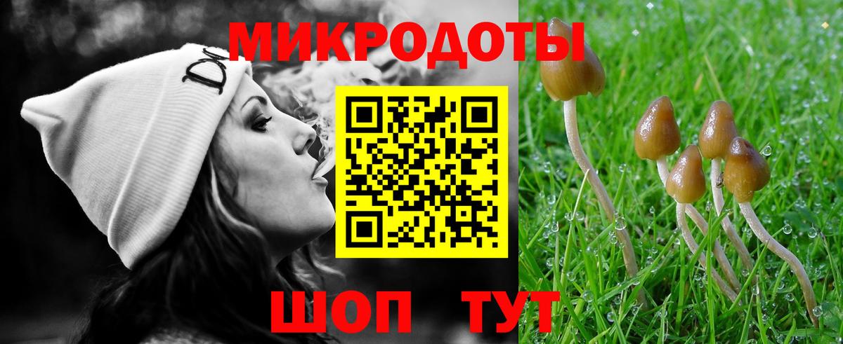 Галлюциногенные грибы мухоморы Новозыбков